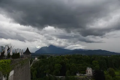 DSC_6364 (Large).JPG